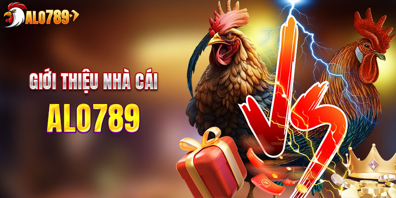Giới thiệu tổng quan bồ gà ALO789